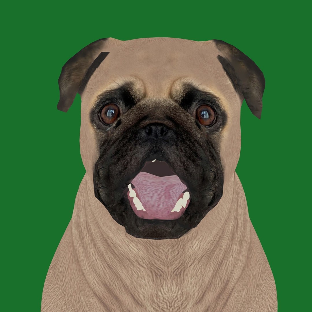 Pug Dog 3D Model – Low Poly Game Ready Character with Animations - View 20