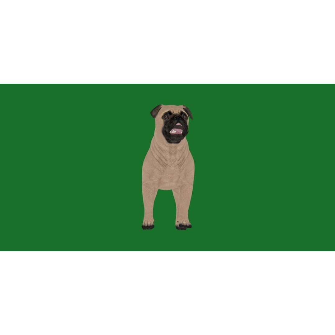 Pug Dog 3D Model – Low Poly Game Ready Character with Animations - View 25