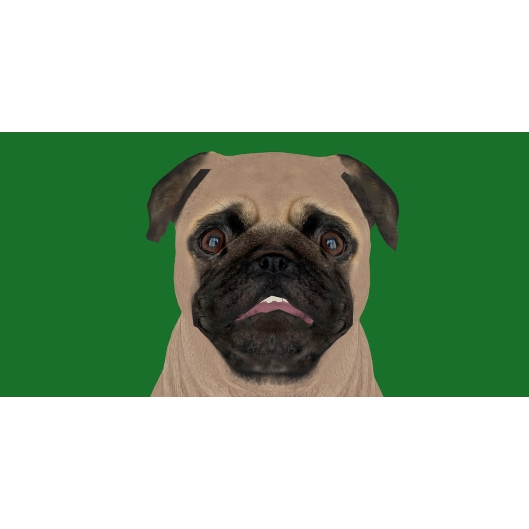 Pug Dog 3D Model – Low Poly Game Ready Character with Animations - View 26