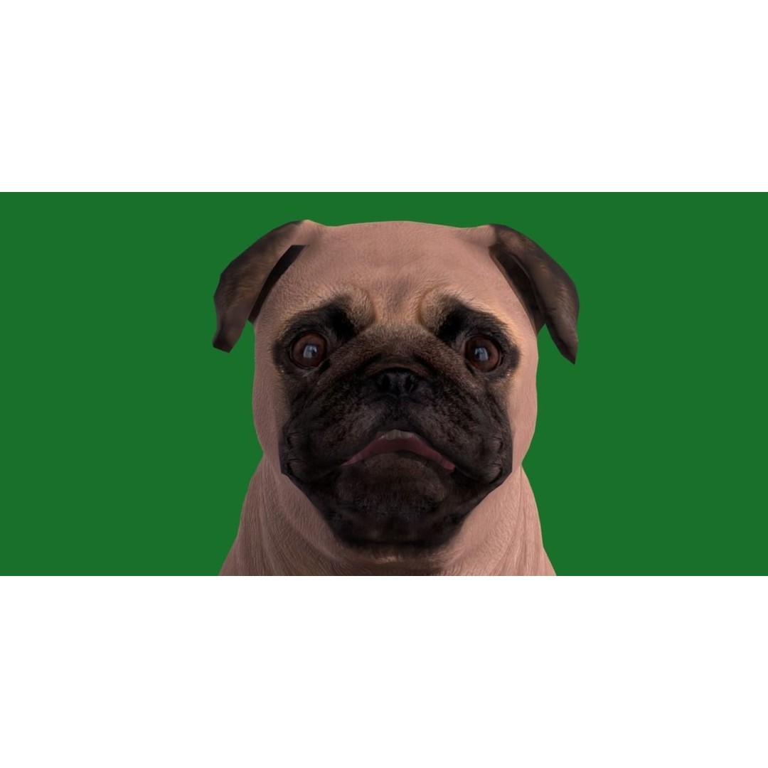 Pug Dog 3D Model – Low Poly Game Ready Character with Animations - View 27