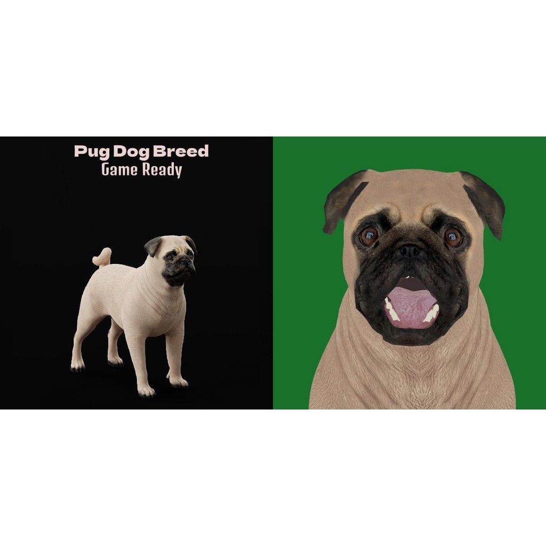 Pug Dog 3D Model – Low Poly Game Ready Character with Animations - View 3