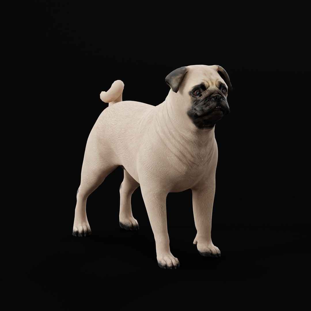 Pug Dog 3D Model – Low Poly Game Ready Character with Animations - View 31