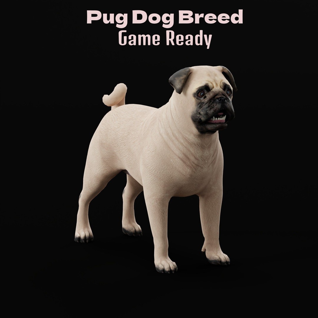 Pug Dog 3D Model – Low Poly Game Ready Character with Animations - View 7