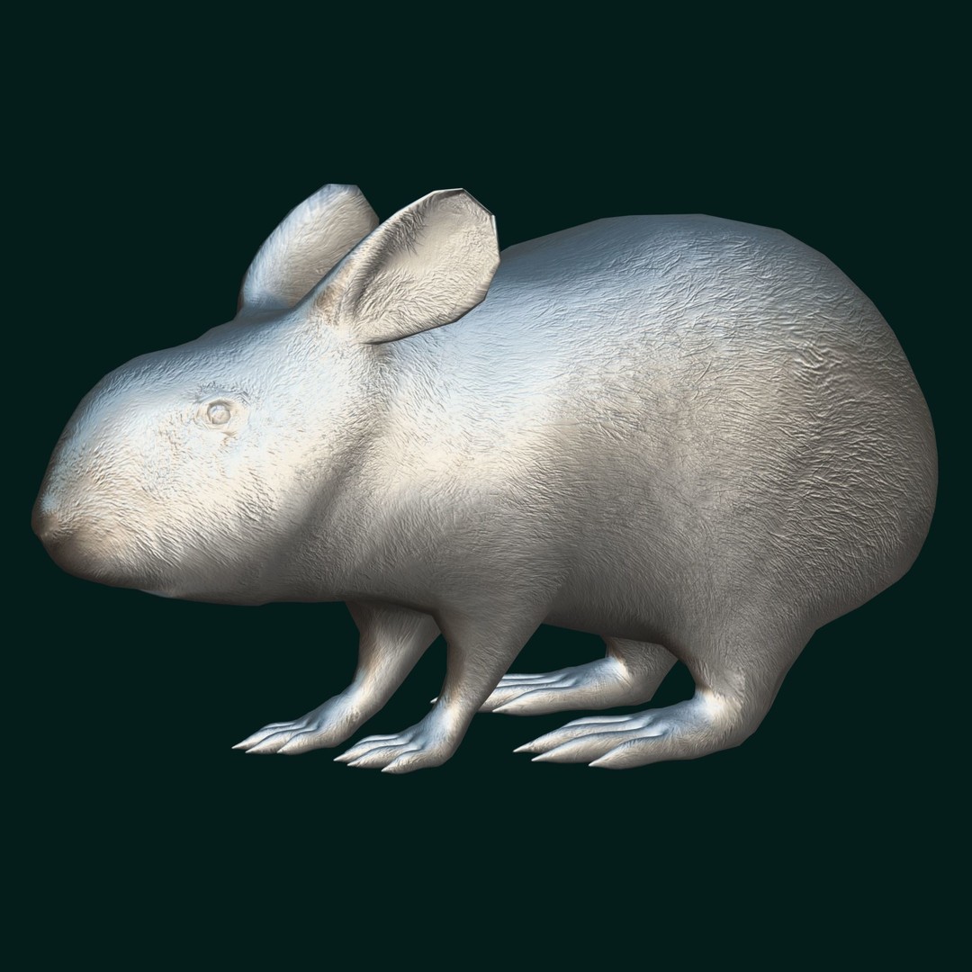 Lower Keys Marsh Rabbit 3D Model – Low Poly Game Asset, FBX, PBR - View 10