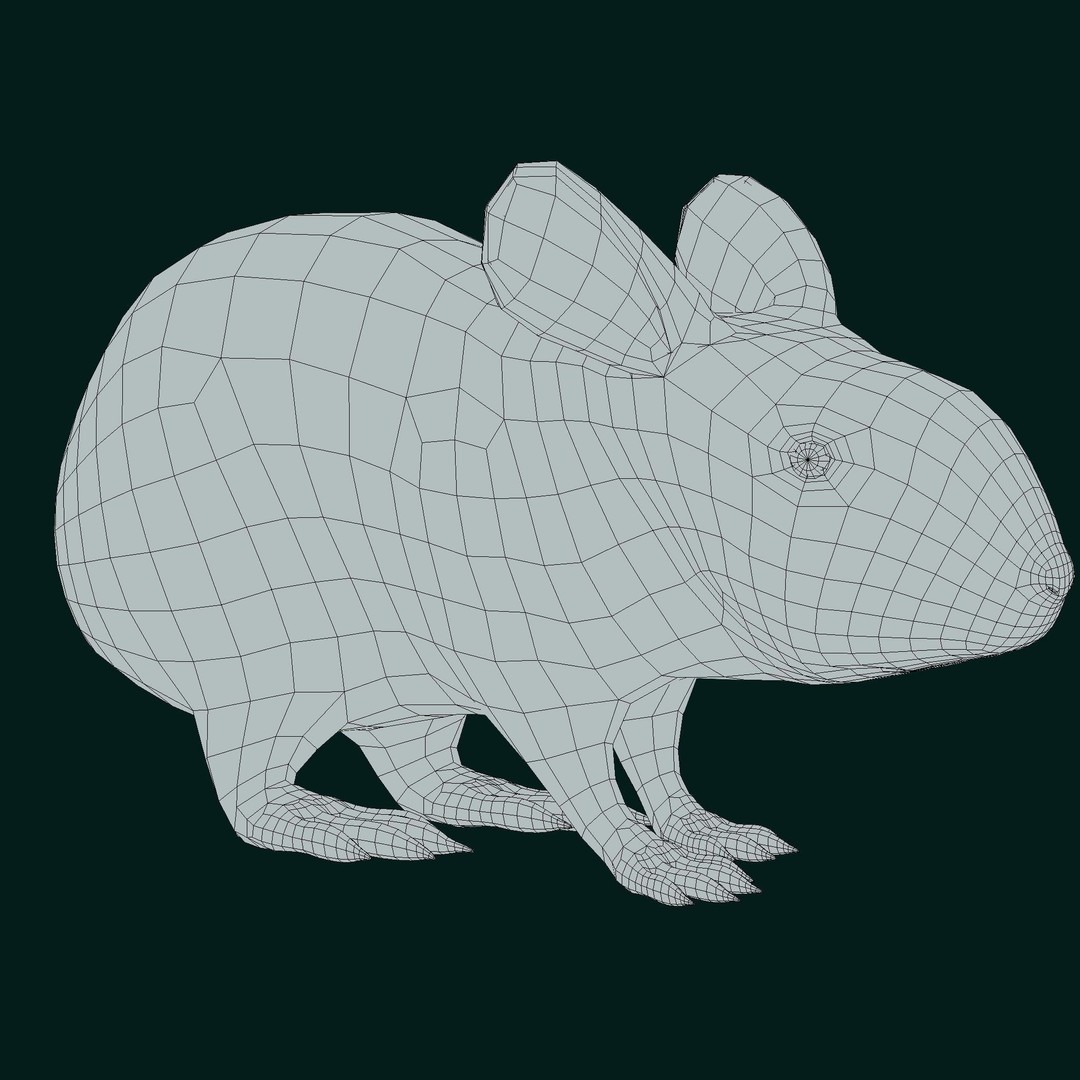 Lower Keys Marsh Rabbit 3D Model – Low Poly Game Asset, FBX, PBR - View 12