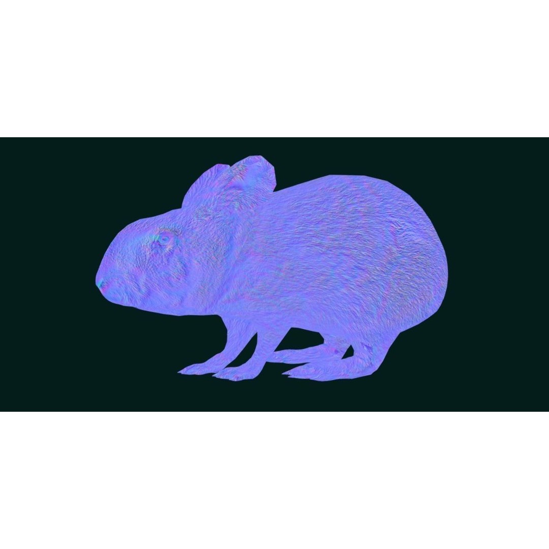 Lower Keys Marsh Rabbit 3D Model – Low Poly Game Asset, FBX, PBR - View 15