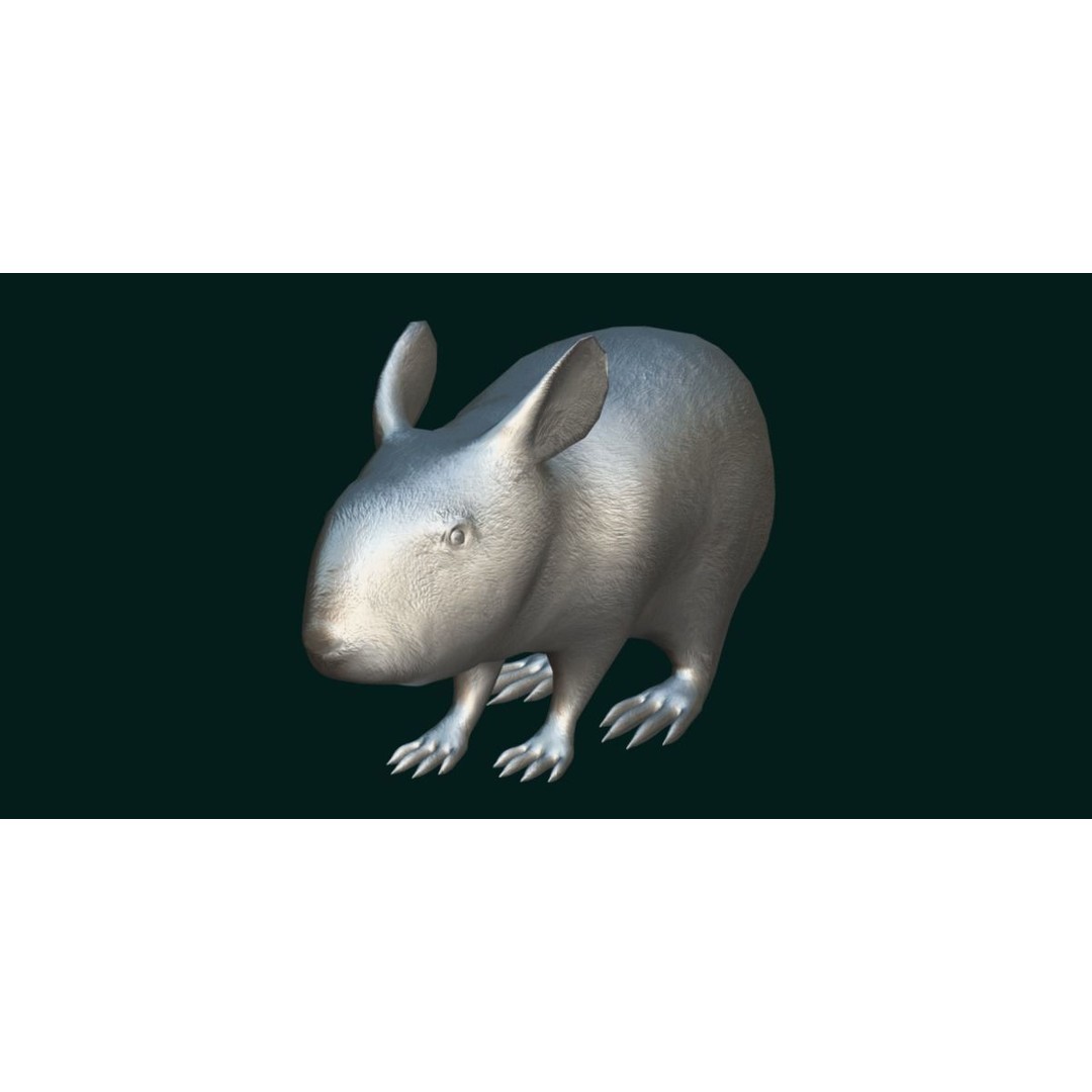 Lower Keys Marsh Rabbit 3D Model – Low Poly Game Asset, FBX, PBR - View 19