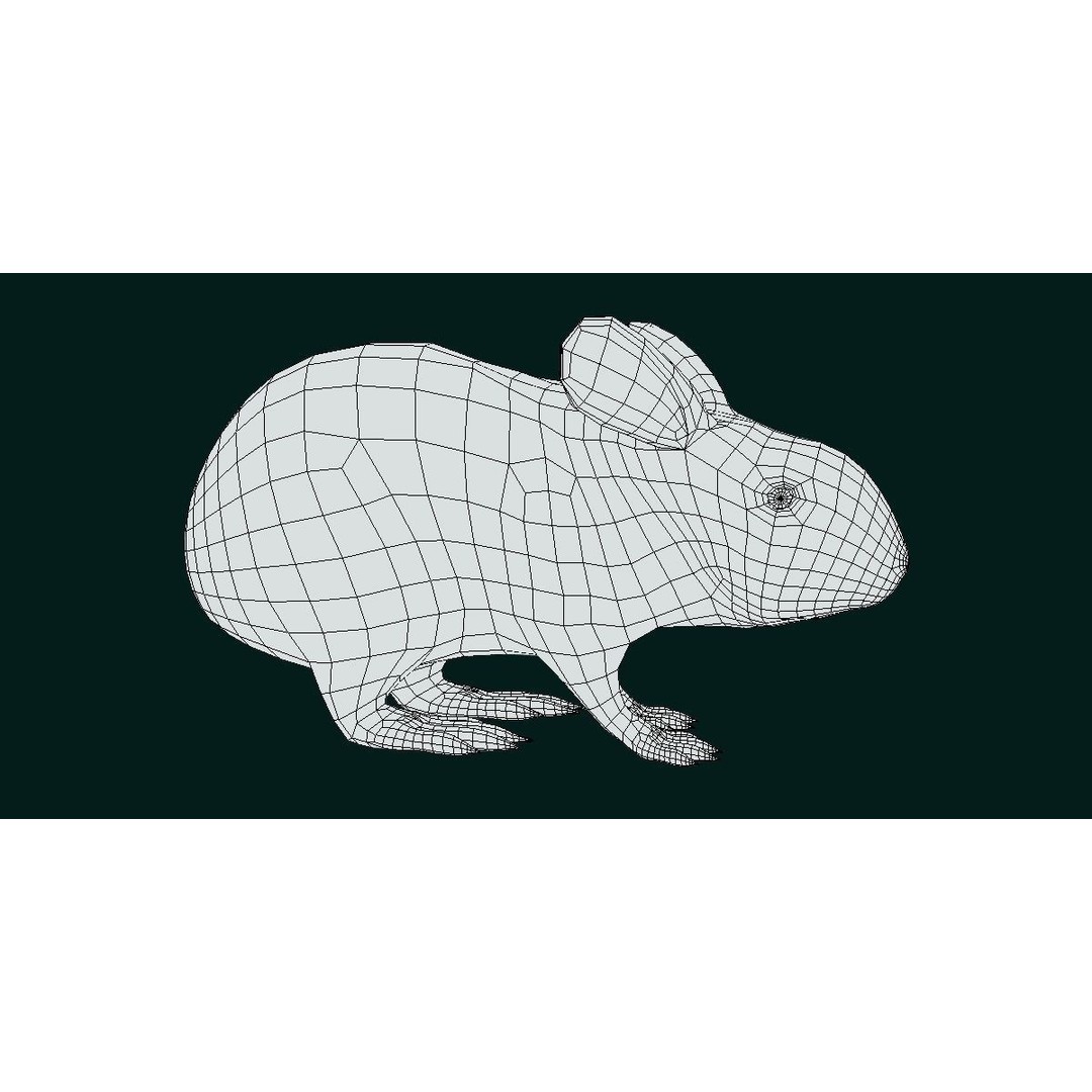 Lower Keys Marsh Rabbit 3D Model – Low Poly Game Asset, FBX, PBR - View 5