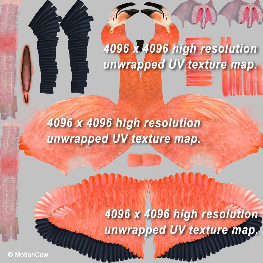 Flamingo 3D Model – Realistic Animated Rigged Flying Bird, FBX