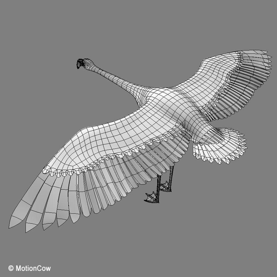 Flamingo 3D Model – Realistic Animated Rigged Flying Bird, FBX - View 14