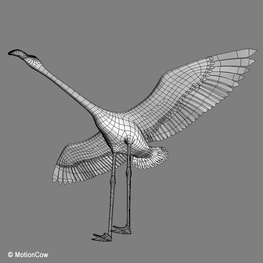 Flamingo 3D Model – Realistic Animated Rigged Flying Bird, FBX - View 15