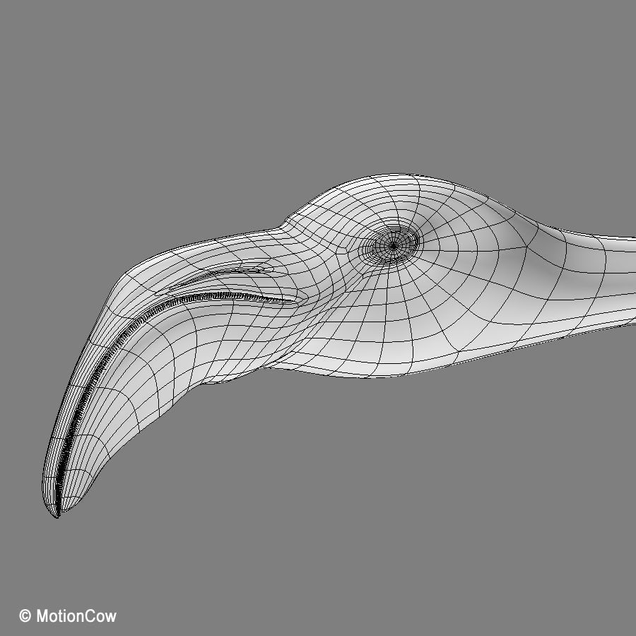 Flamingo 3D Model – Realistic Animated Rigged Flying Bird, FBX - View 16