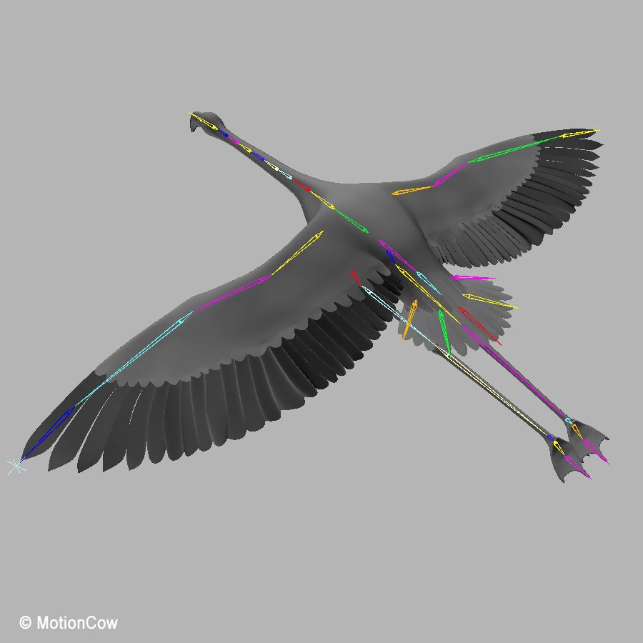 Flamingo 3D Model – Realistic Animated Rigged Flying Bird, FBX - View 17