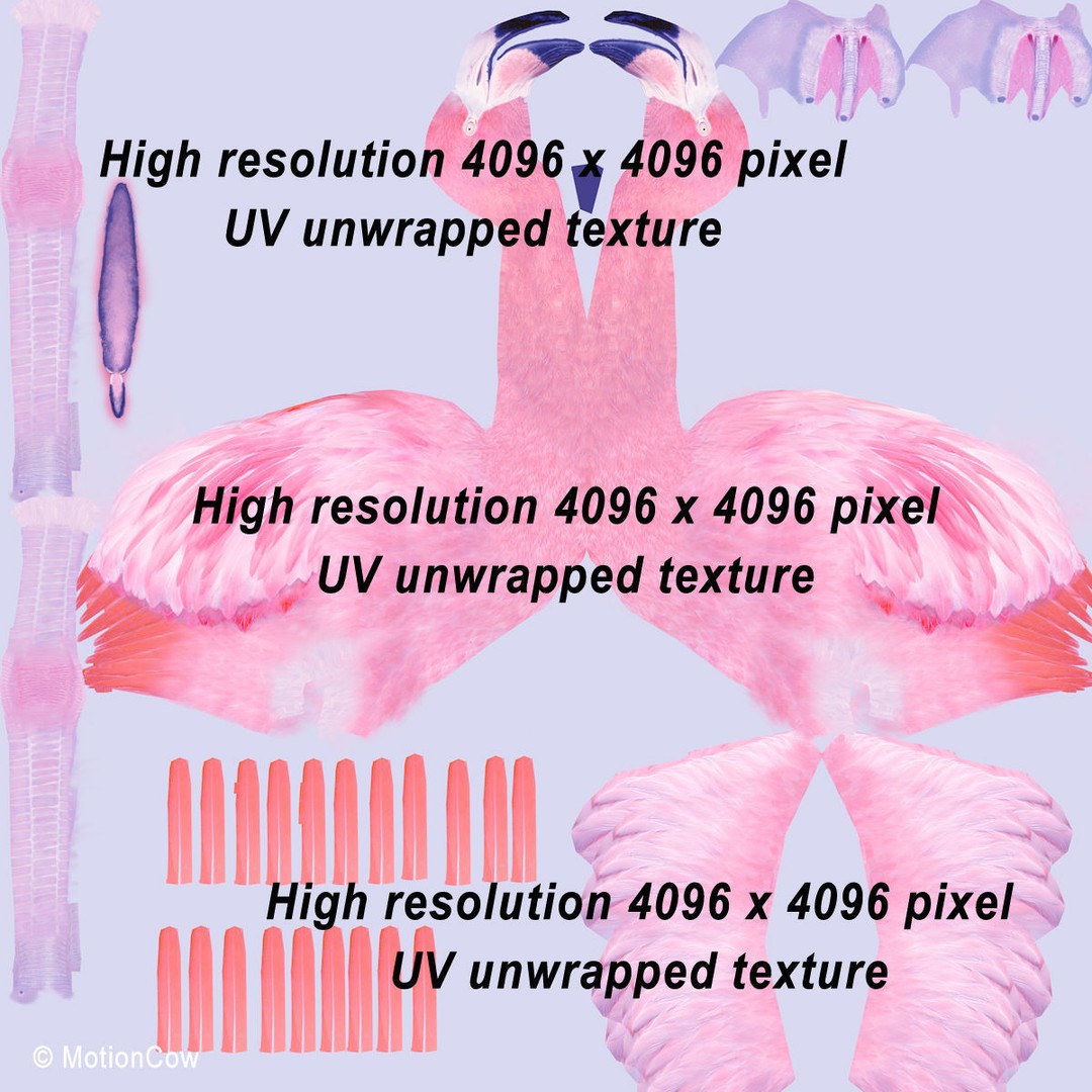 Flamingo 3D Model – Realistic Rigged Animation Asset, FBX