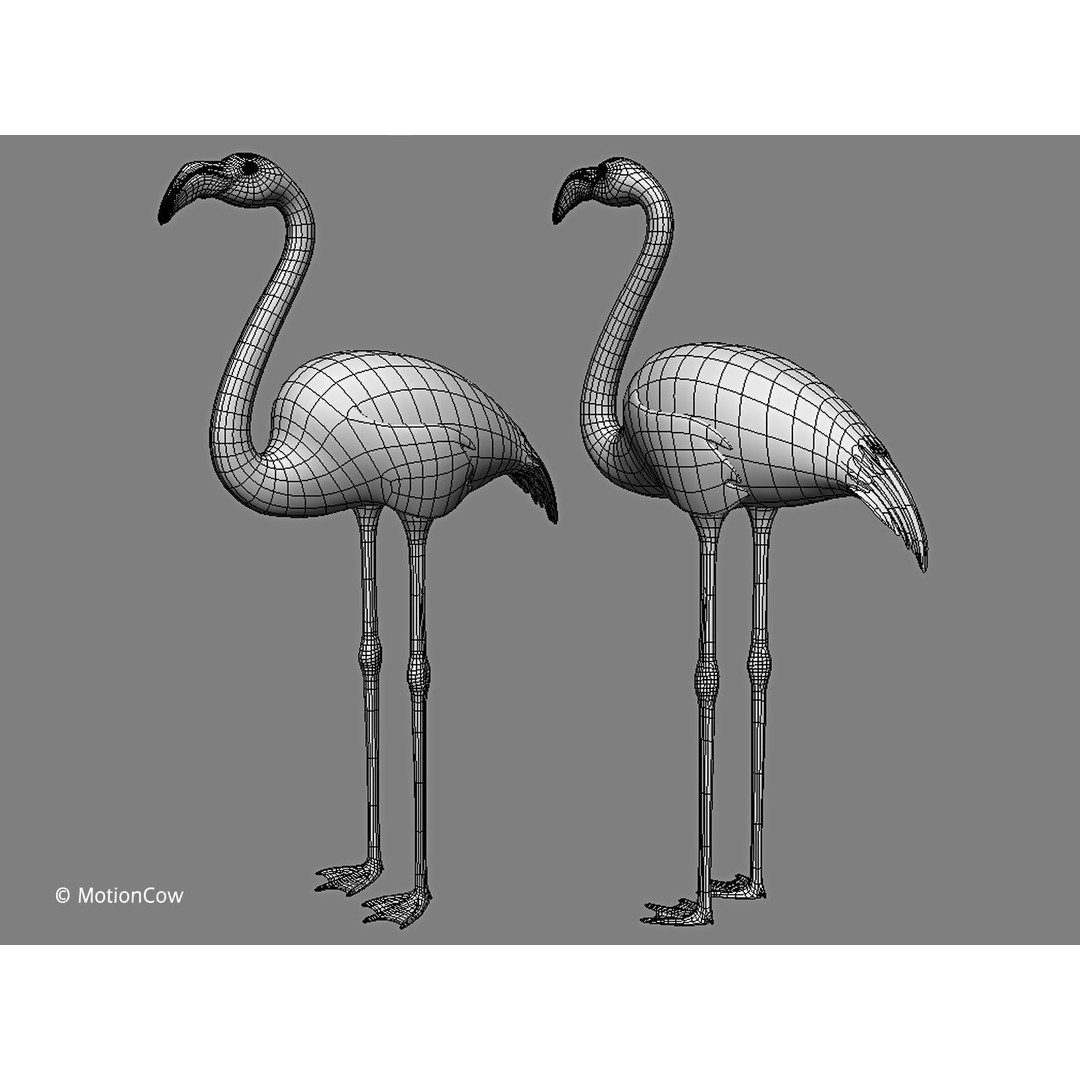 Flamingo 3D Model – Realistic Rigged Animation Asset, FBX - View 14