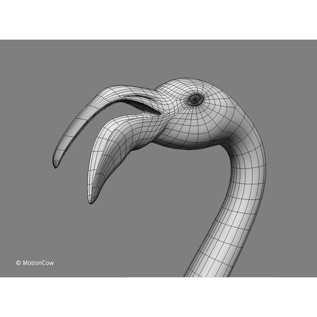 Flamingo 3D Model – Realistic Rigged Animation Asset, FBX - View 15
