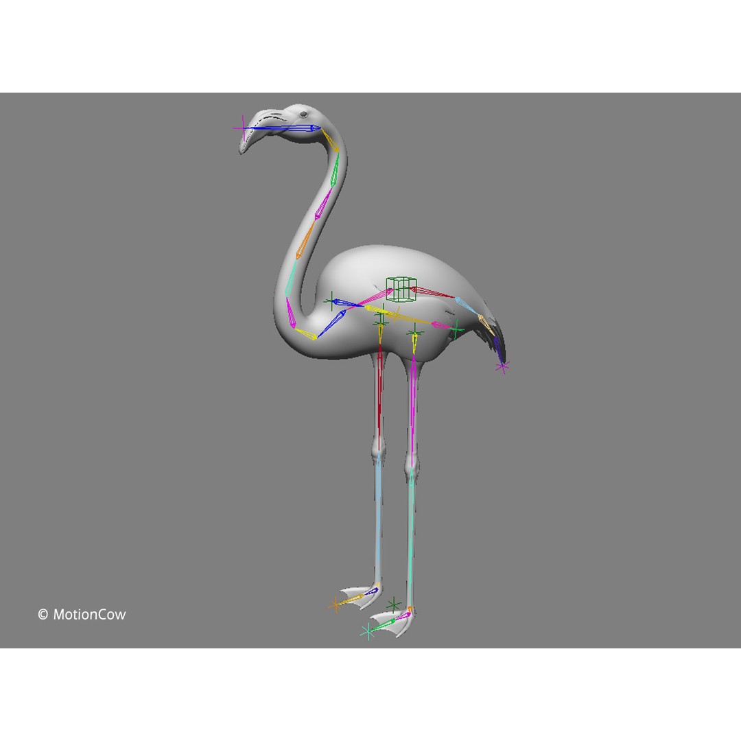 Flamingo 3D Model – Realistic Rigged Animation Asset, FBX - View 16