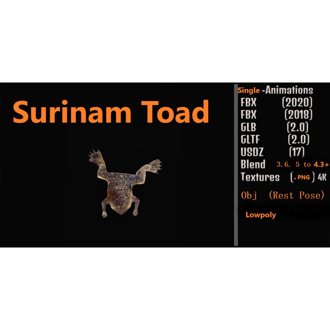 Surinam Toad 3D Model – Low Poly Game Asset, FBX & Blender Formats - View 4
