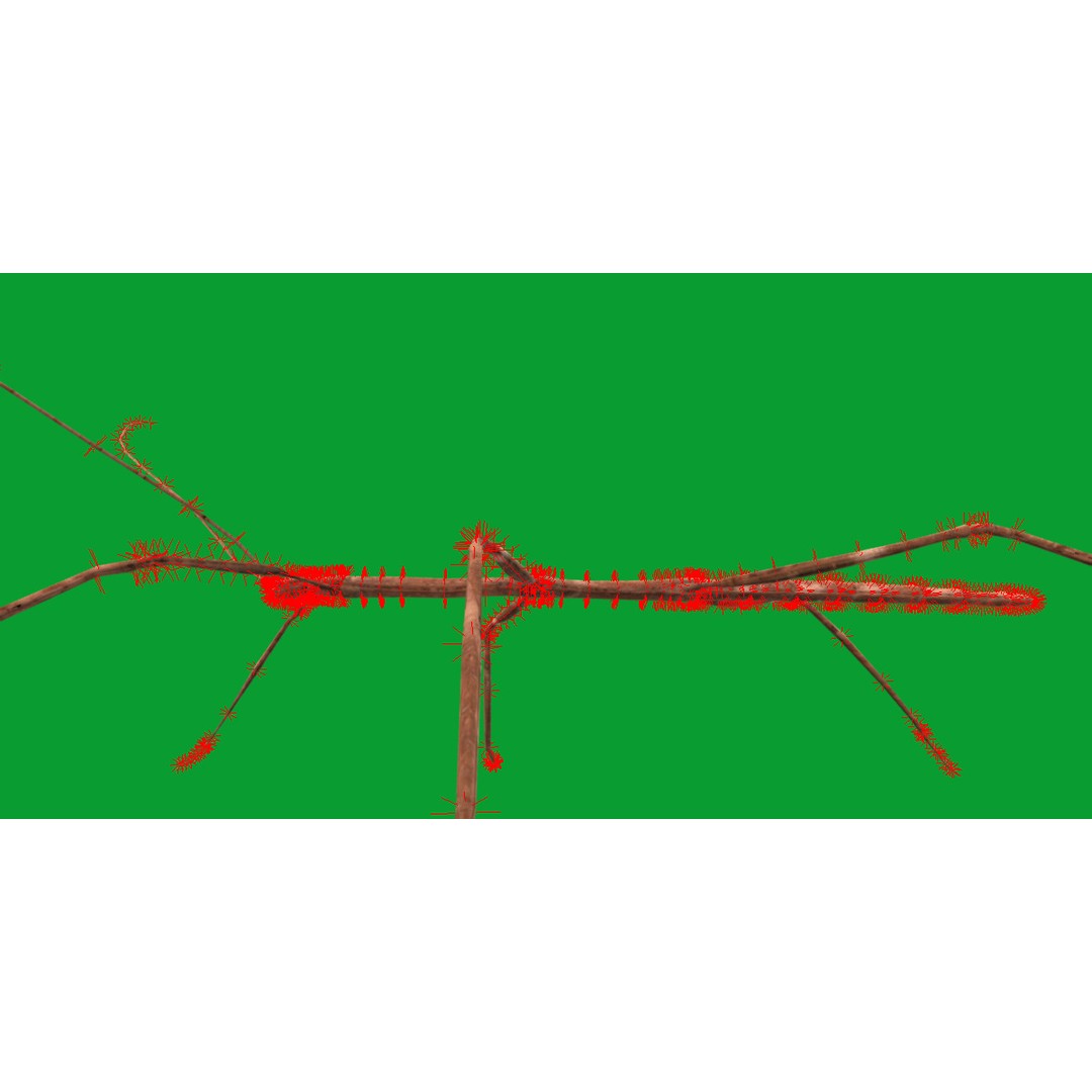 Giant Stick Insect 3D Model – Low Poly Game Ready, FBX, PBR - View 15