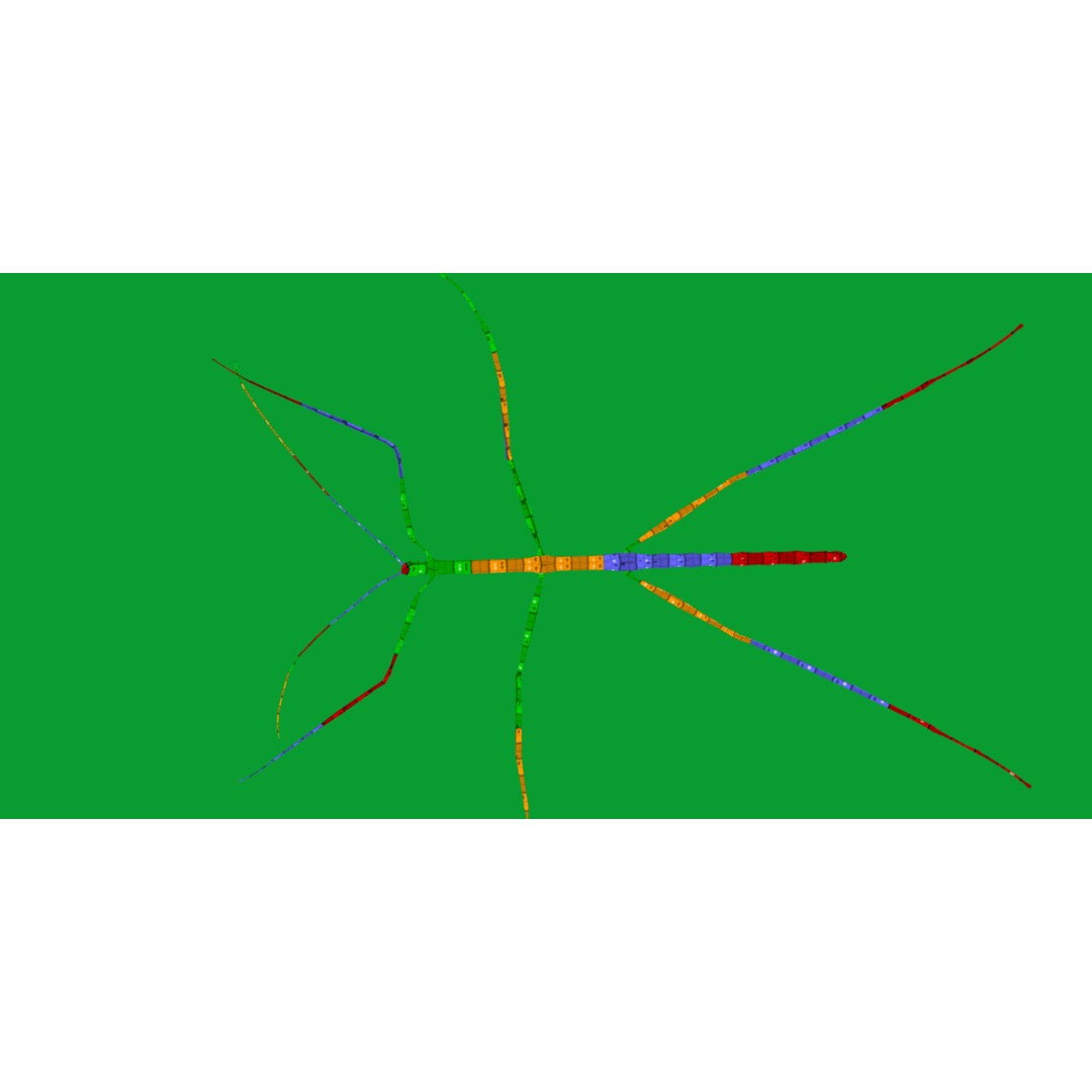 Giant Stick Insect 3D Model – Low Poly Game Ready, FBX, PBR - View 16