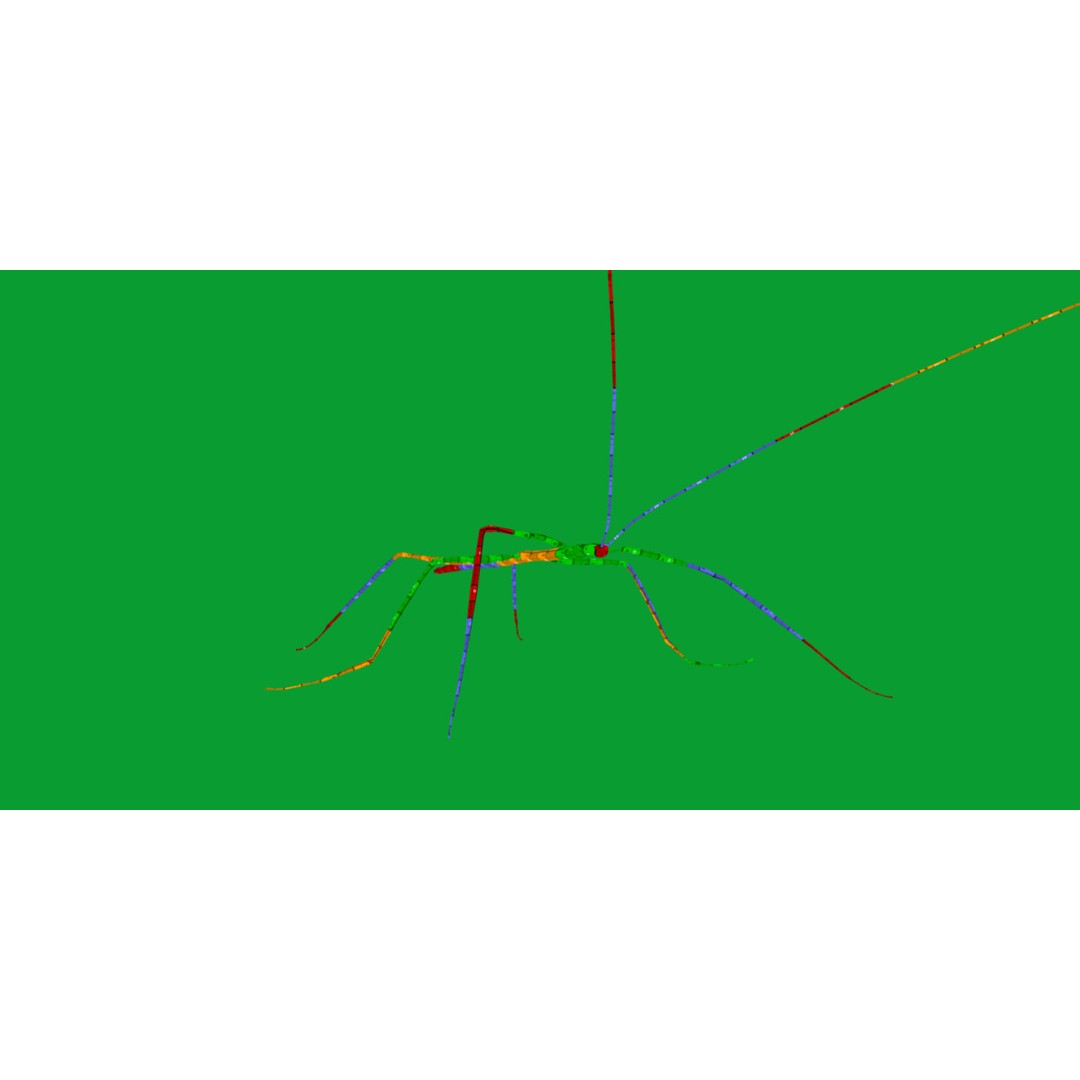 Giant Stick Insect 3D Model – Low Poly Game Ready, FBX, PBR - View 17
