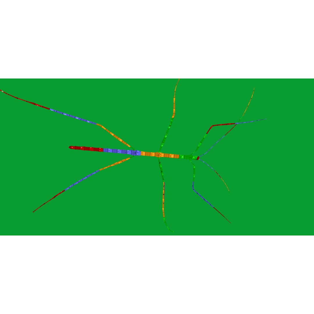 Giant Stick Insect 3D Model – Low Poly Game Ready, FBX, PBR - View 18