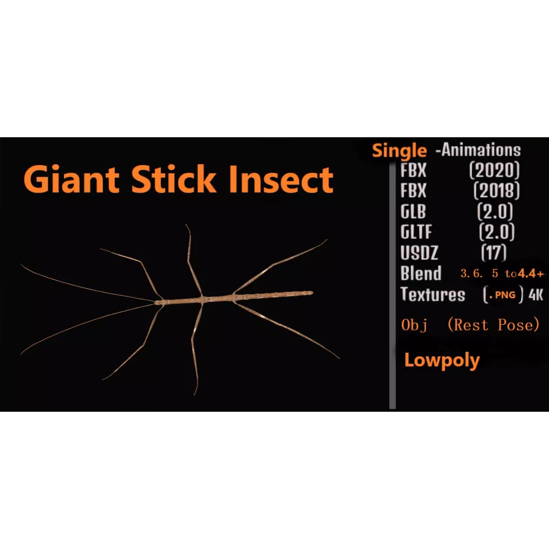 Giant Stick Insect 3D Model – Low Poly Game Ready, FBX, PBR - View 2