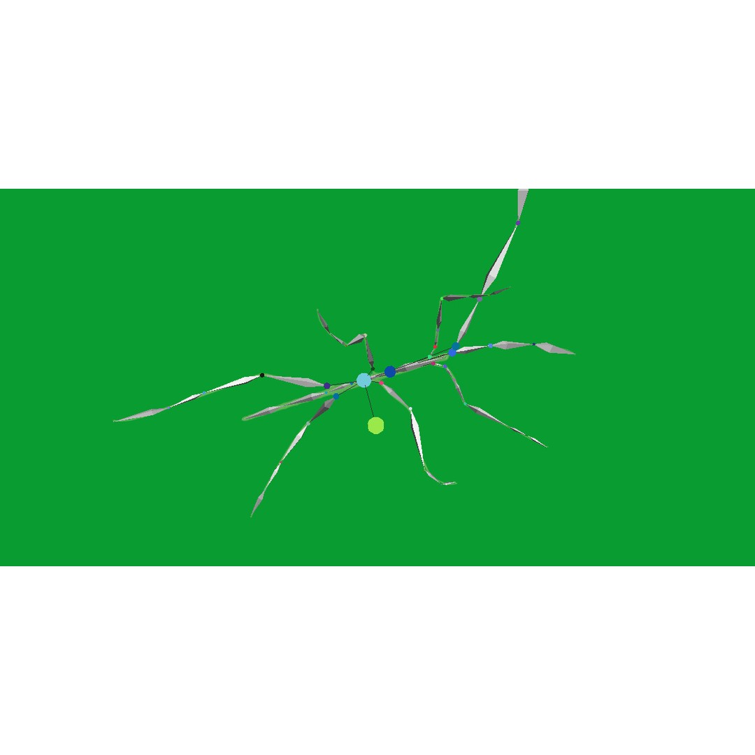 Giant Stick Insect 3D Model – Low Poly Game Ready, FBX, PBR - View 23