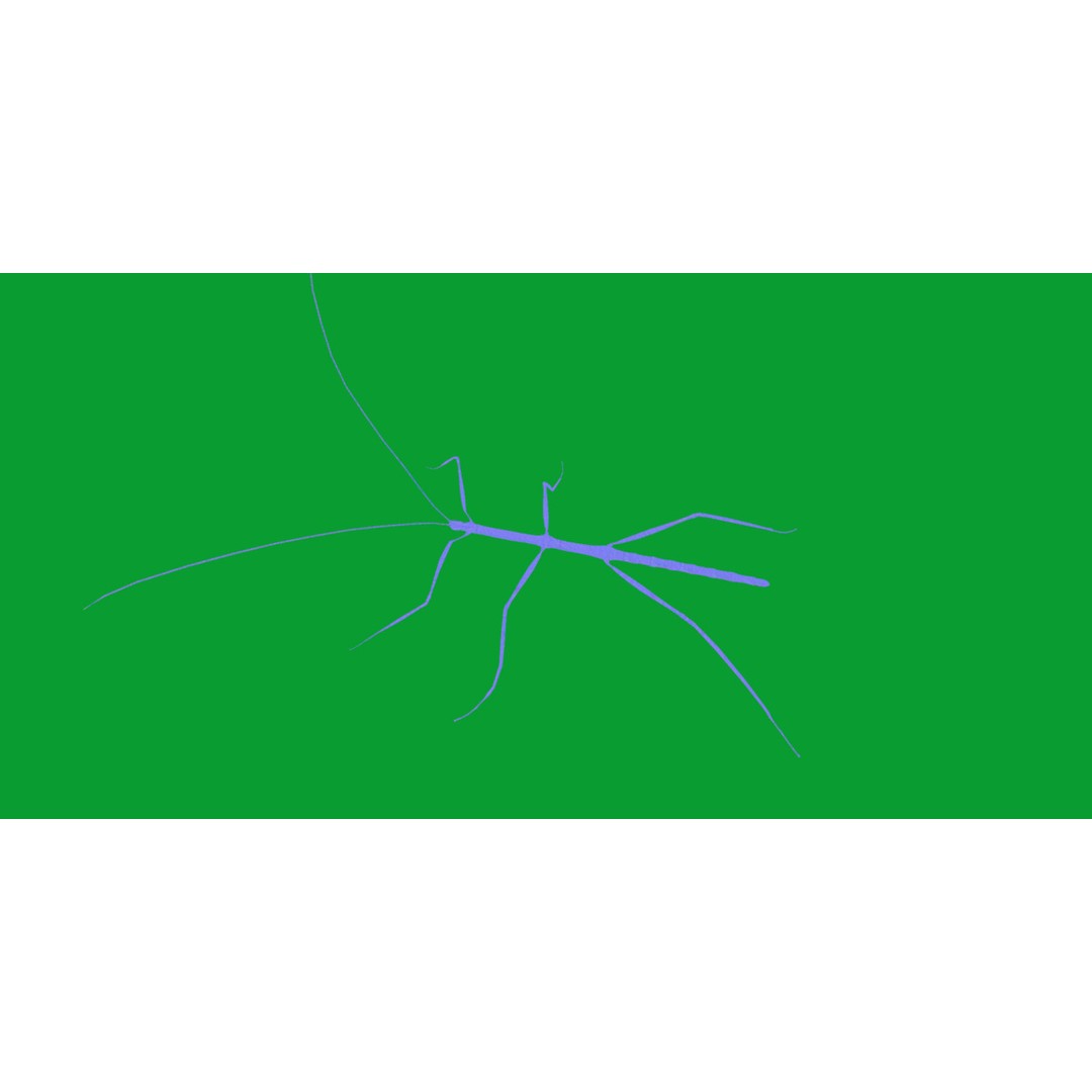 Giant Stick Insect 3D Model – Low Poly Game Ready, FBX, PBR - View 5
