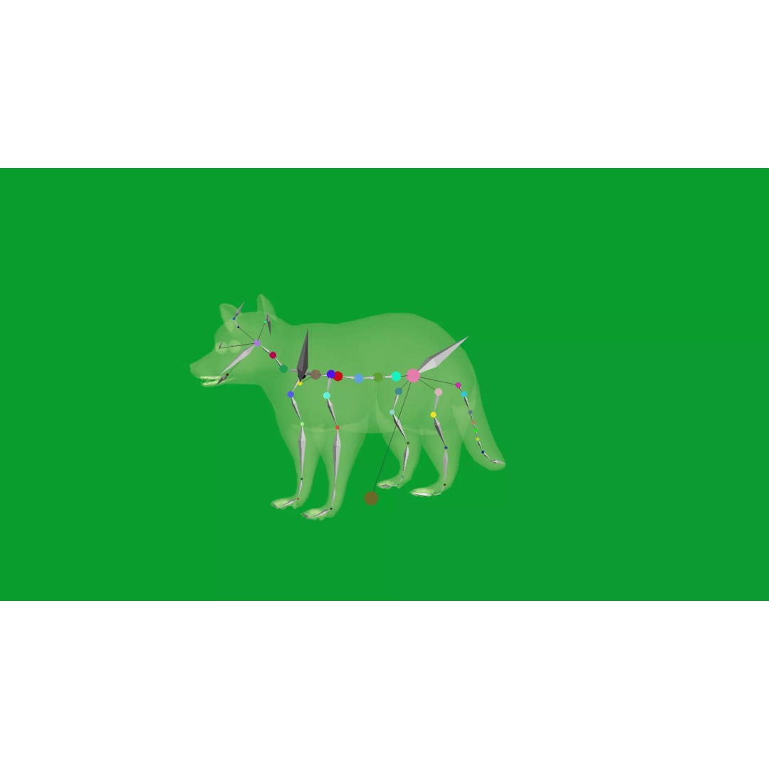 Raccoon 3D Model – Low Poly Game Asset with Animations, FBX - View 23