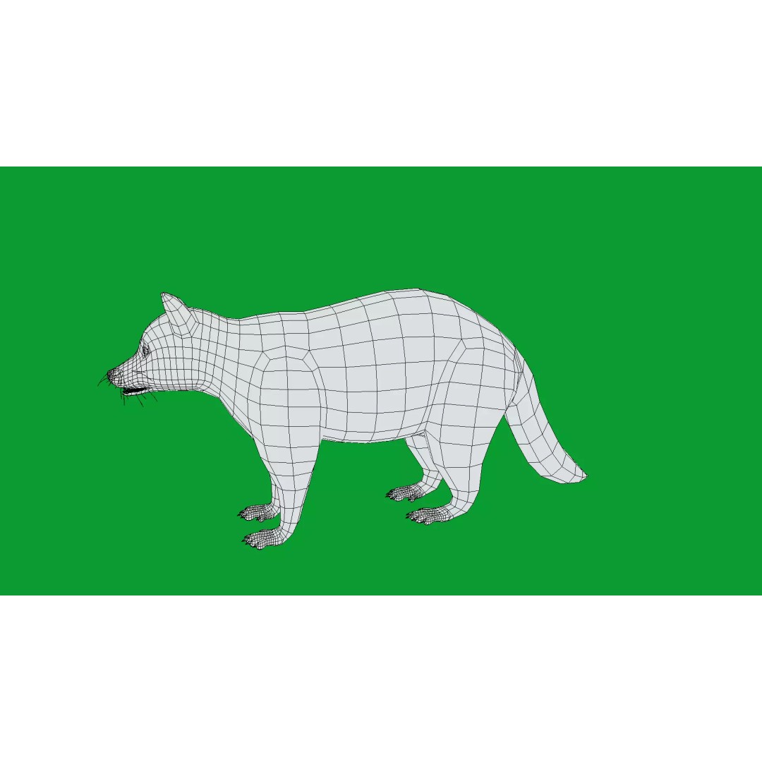 Raccoon 3D Model – Low Poly Game Asset with Animations, FBX - View 27