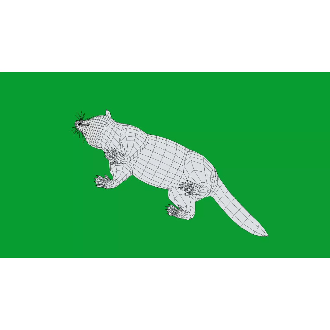 Raccoon 3D Model – Low Poly Game Asset with Animations, FBX - View 30