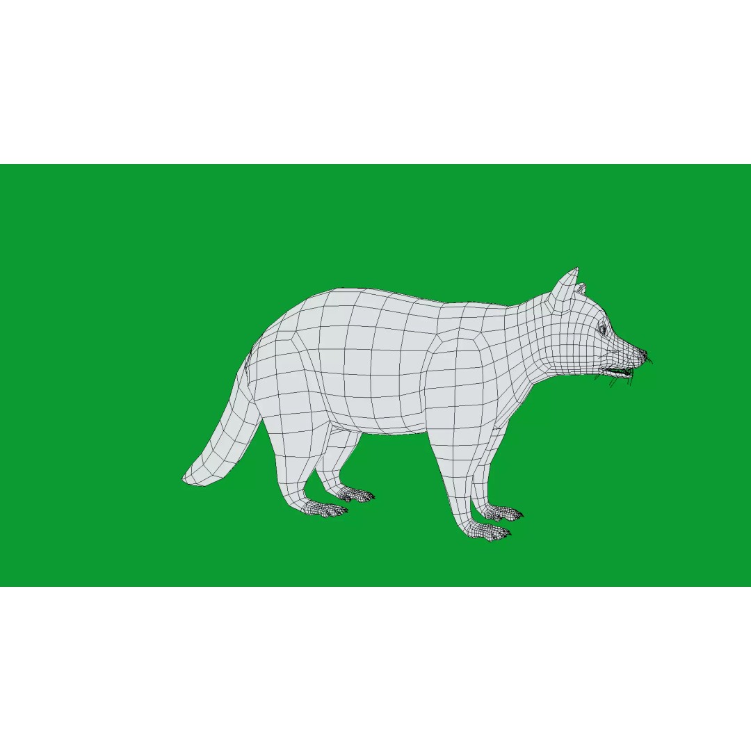 Raccoon 3D Model – Low Poly Game Asset with Animations, FBX - View 34