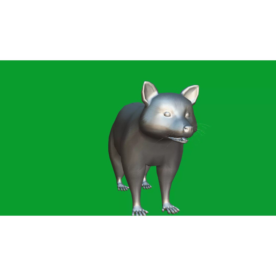 Raccoon 3D Model – Low Poly Game Asset with Animations, FBX - View 37