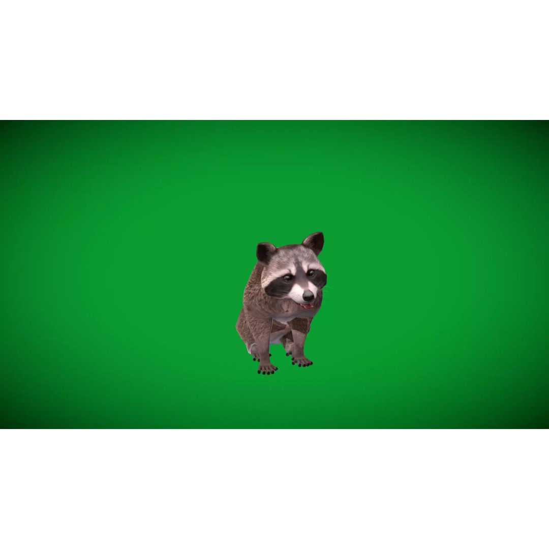 Raccoon 3D Model – Low Poly Game Asset with Animations, FBX - View 43