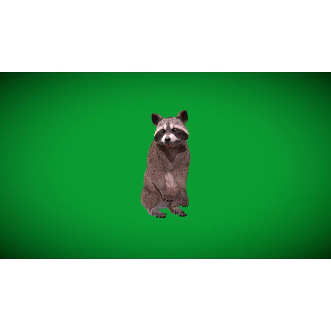 Raccoon 3D Model – Low Poly Game Asset with Animations, FBX - View 48