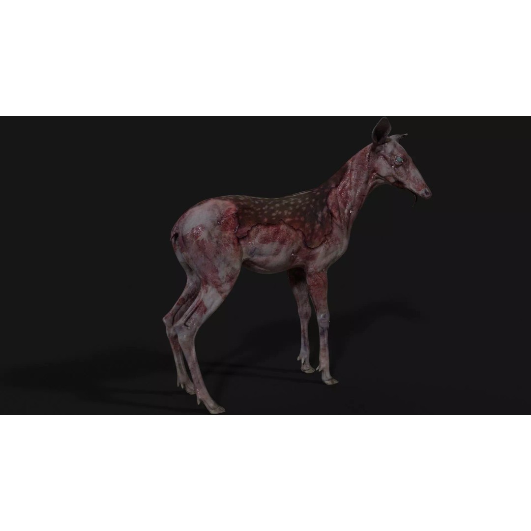 Bambi Zombie 3D Model – Low Poly Creature, Rigged, FBX, Unity, Unreal Engine - View 10
