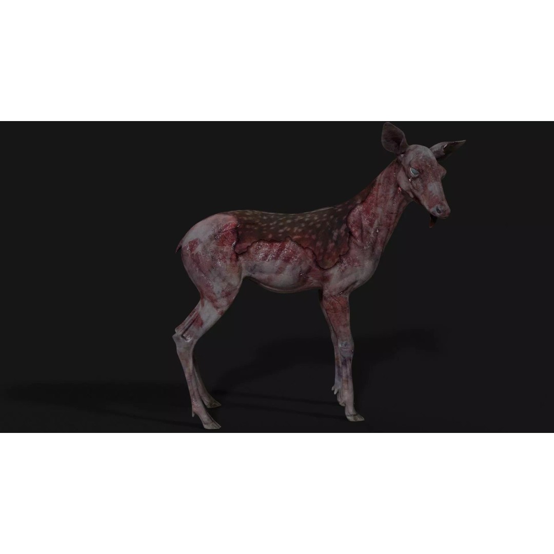 Bambi Zombie 3D Model – Low Poly Creature, Rigged, FBX, Unity, Unreal Engine - View 11