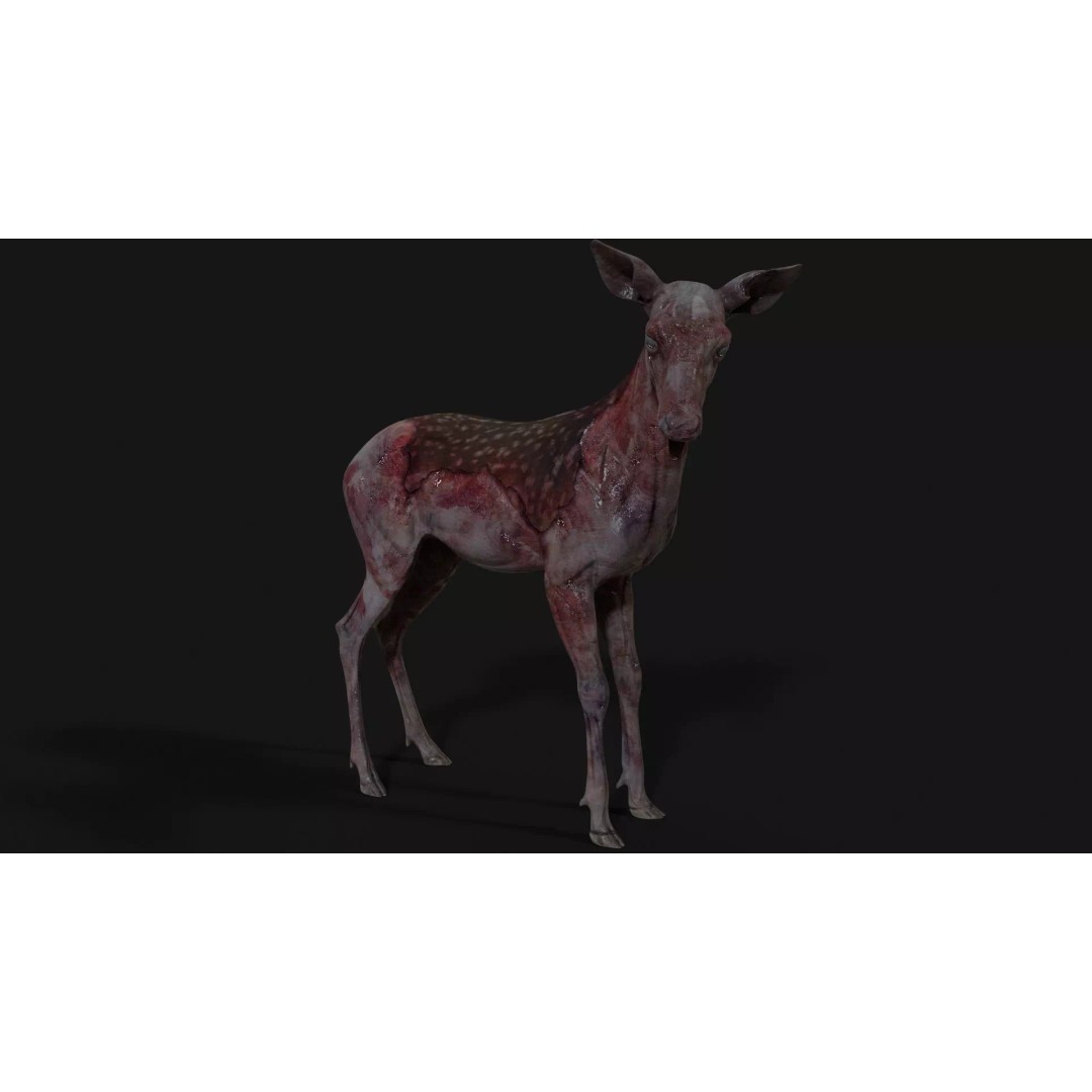 Bambi Zombie 3D Model – Low Poly Creature, Rigged, FBX, Unity, Unreal Engine - View 12