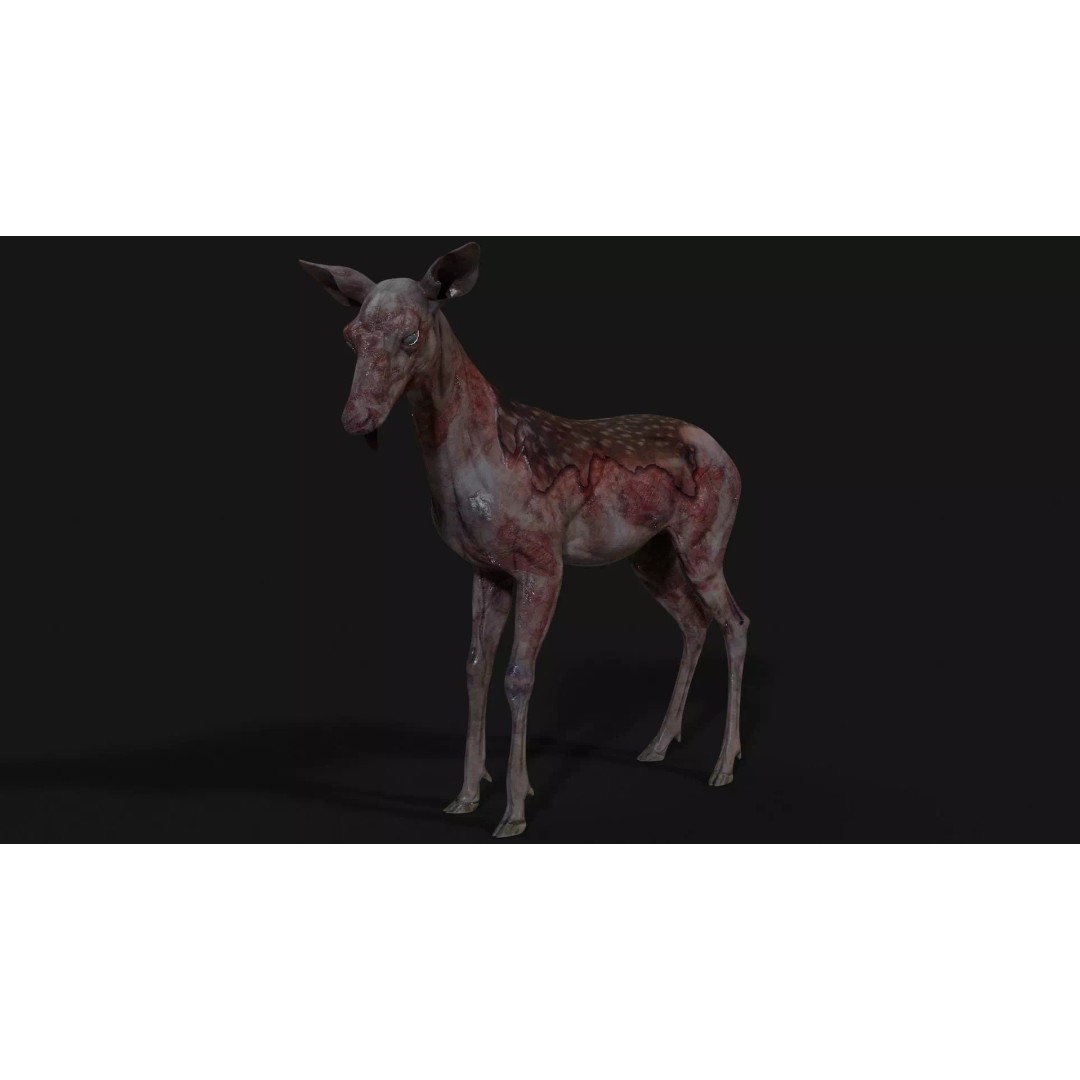 Bambi Zombie 3D Model – Low Poly Creature, Rigged, FBX, Unity, Unreal Engine - View 15