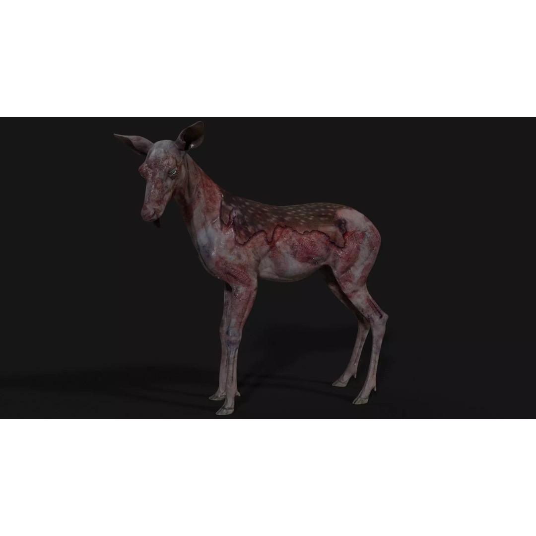 Bambi Zombie 3D Model – Low Poly Creature, Rigged, FBX, Unity, Unreal Engine - View 16