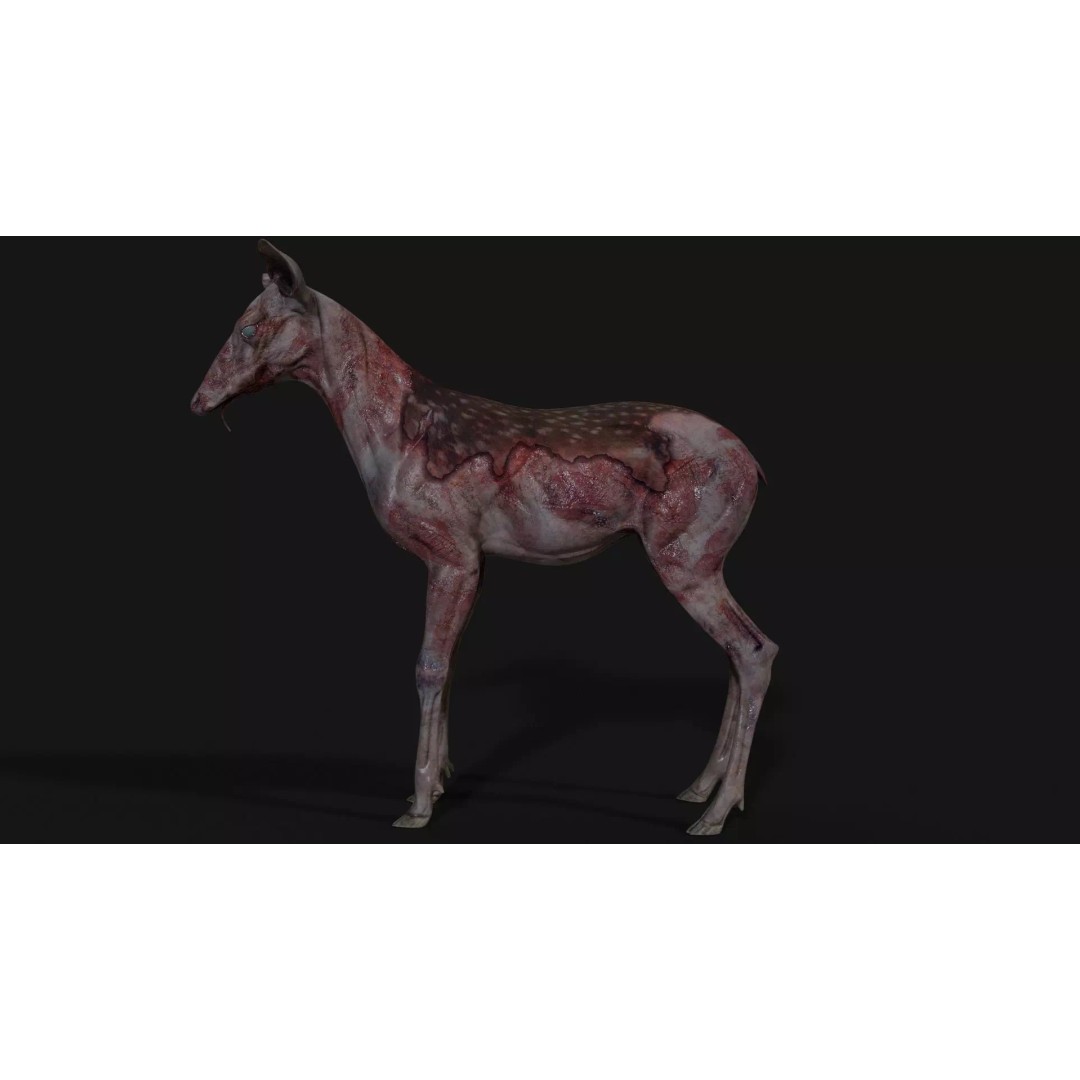 Bambi Zombie 3D Model – Low Poly Creature, Rigged, FBX, Unity, Unreal Engine - View 17