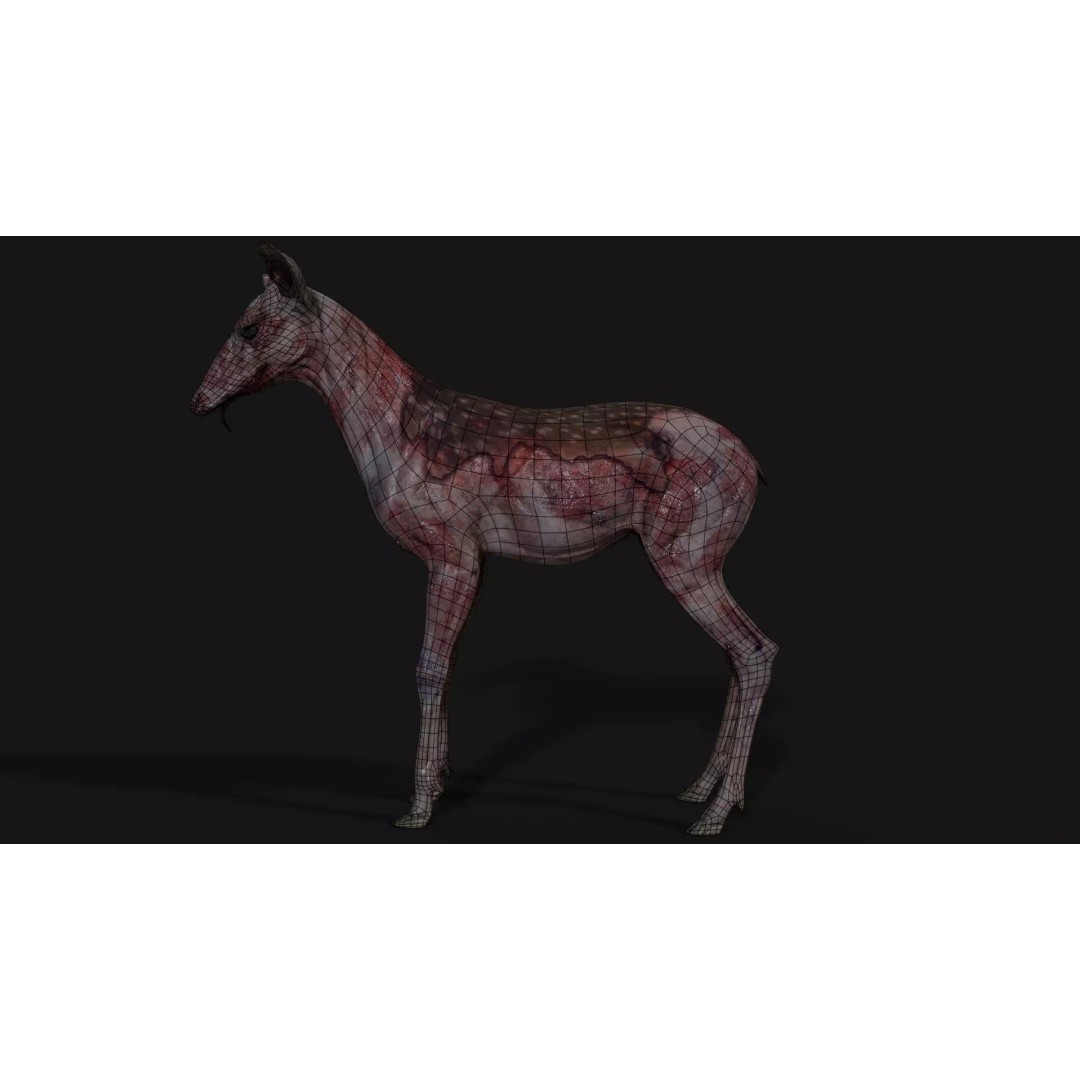 Bambi Zombie 3D Model – Low Poly Creature, Rigged, FBX, Unity, Unreal Engine - View 18