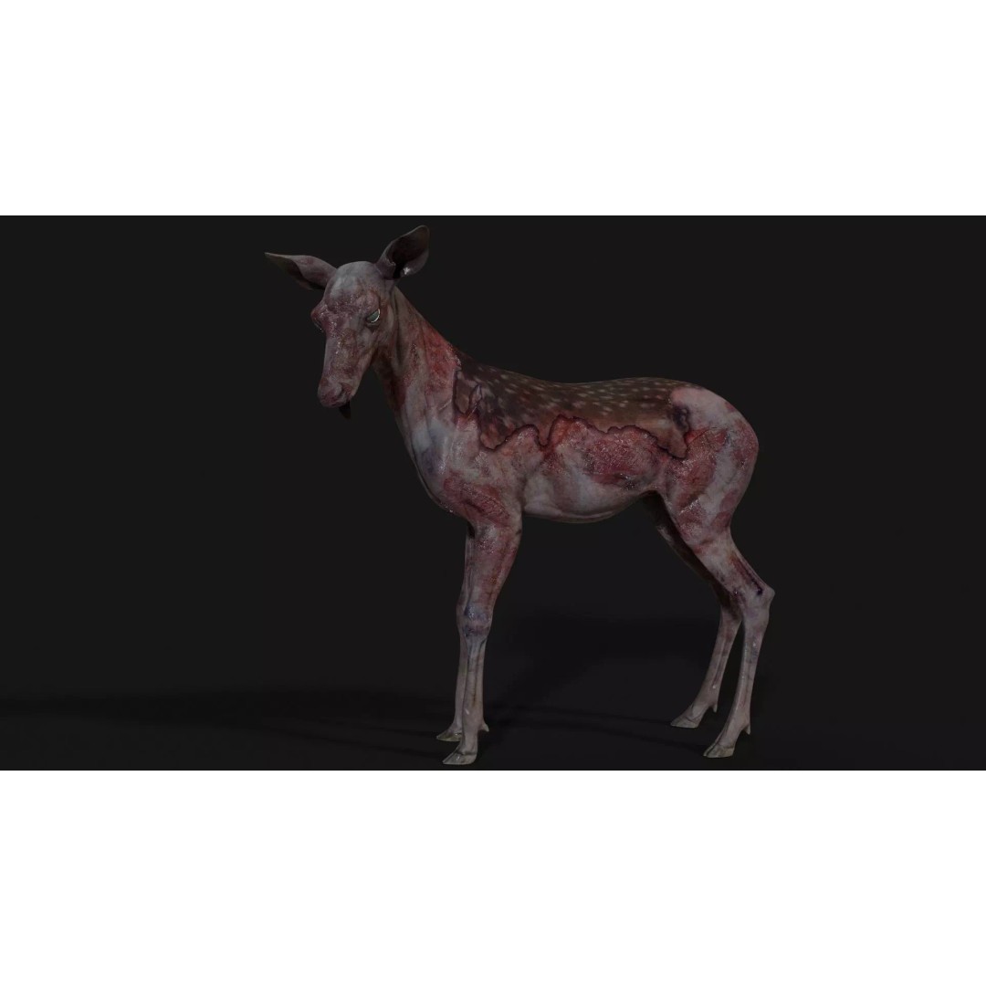 Bambi Zombie 3D Model – Low Poly Creature, Rigged, FBX, Unity, Unreal Engine - View 4