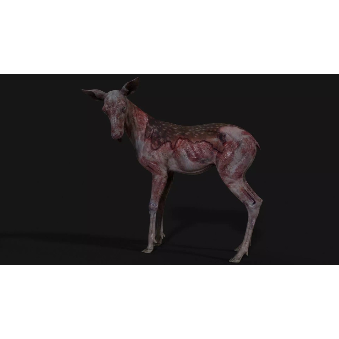 Bambi Zombie 3D Model – Low Poly Creature, Rigged, FBX, Unity, Unreal Engine - View 5