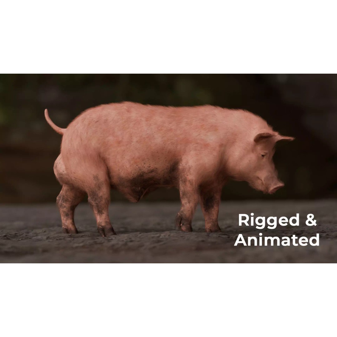 Pig 3D Model – Rigged and Animated Game Asset, FBX - View 2