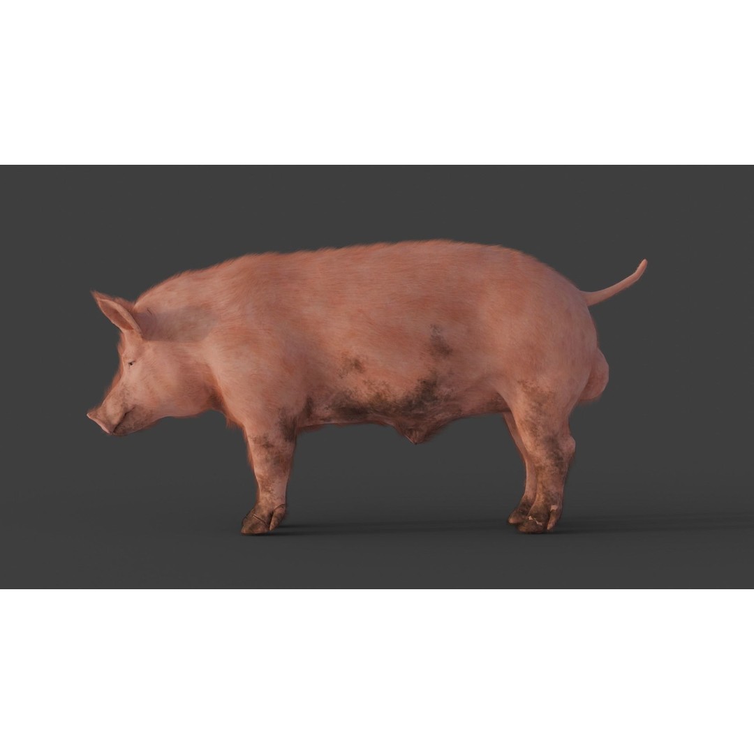 Pig 3D Model – Rigged and Animated Game Asset, FBX - View 5