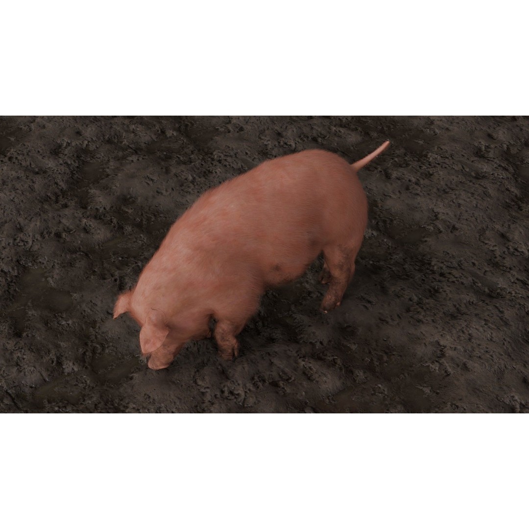 Pig 3D Model – Rigged and Animated Game Asset, FBX - View 6