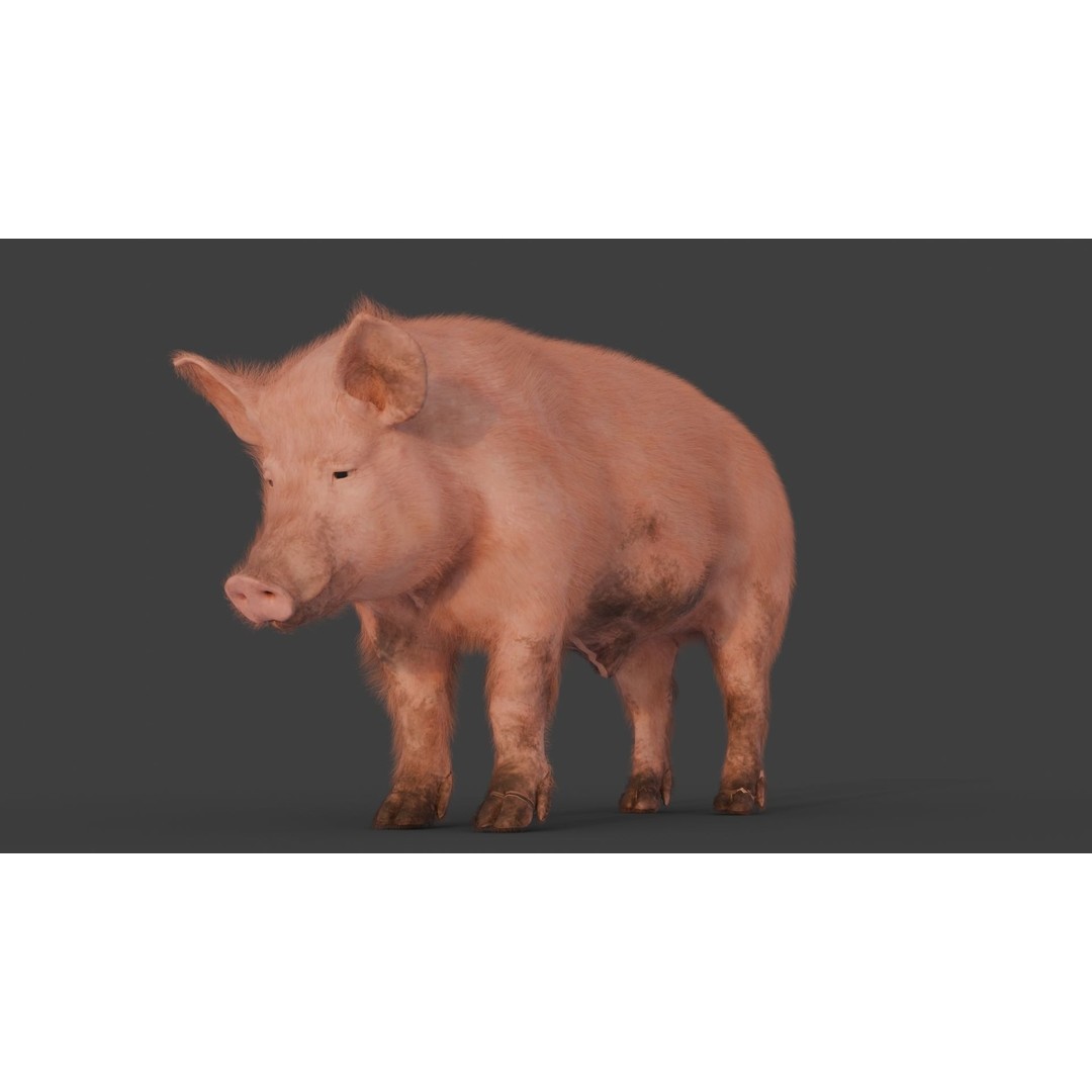 Pig 3D Model – Rigged and Animated Game Asset, FBX - View 7