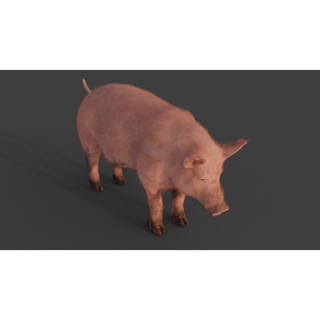 Pig 3D Model – Rigged and Animated Game Asset, FBX - View 8